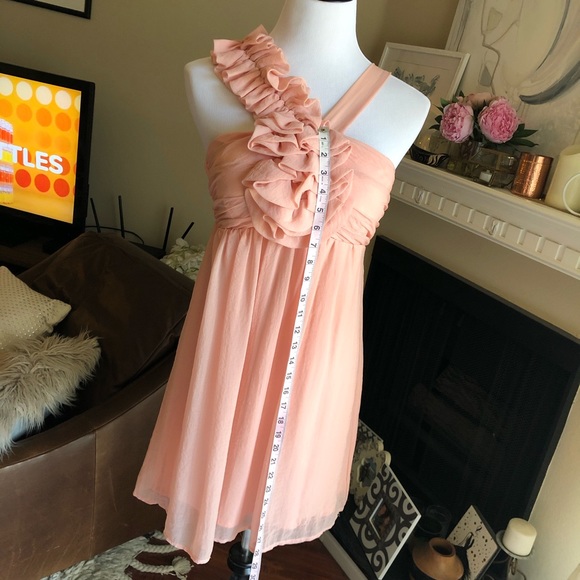 Blush Ruffled Chiffon Cocktail Dress - Picture 3 of 6